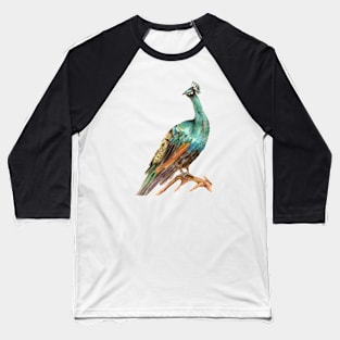 Sitting Peacock Baseball T-Shirt